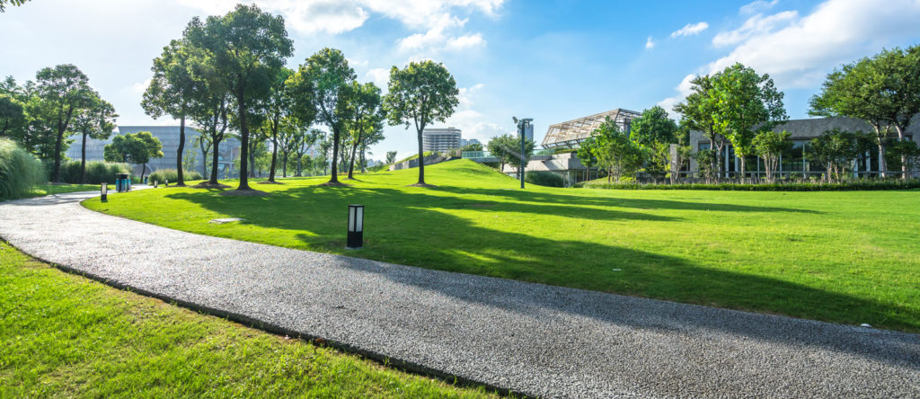 GOLF COURSE ON A SUNNY DAY